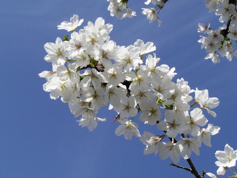 240410-IMGP0854