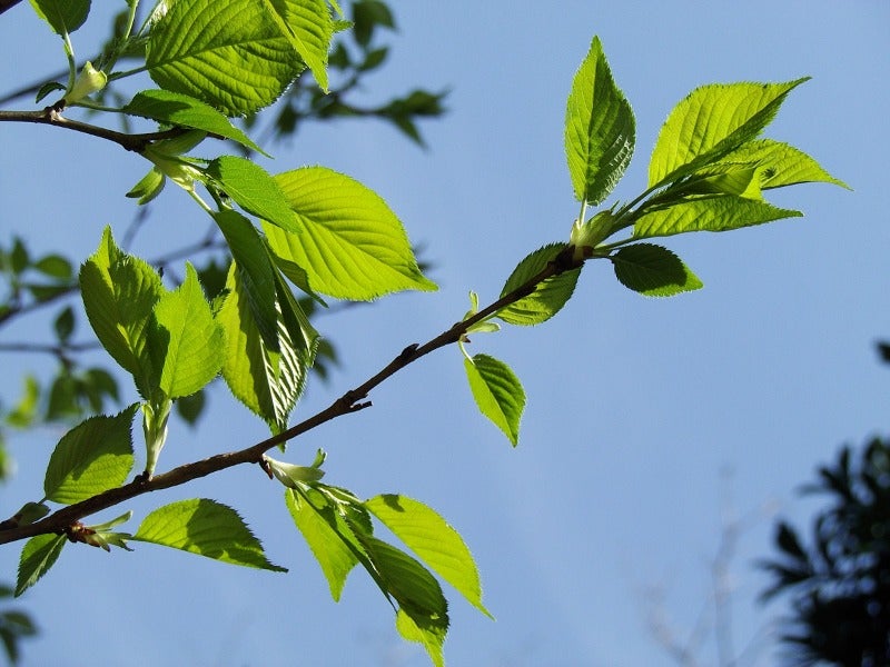 240410-IMGP0880